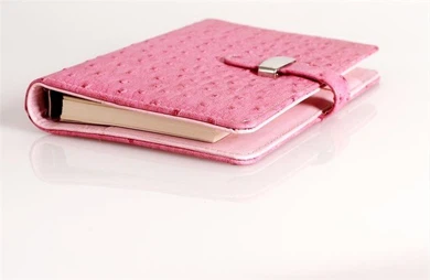 Disc Bound Planner